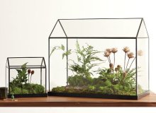 چگونگی ساخت یک گلخانه کوچک